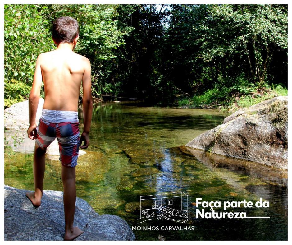 Moinhos Carvalhas Villa Arcos de Valdevez Luaran gambar