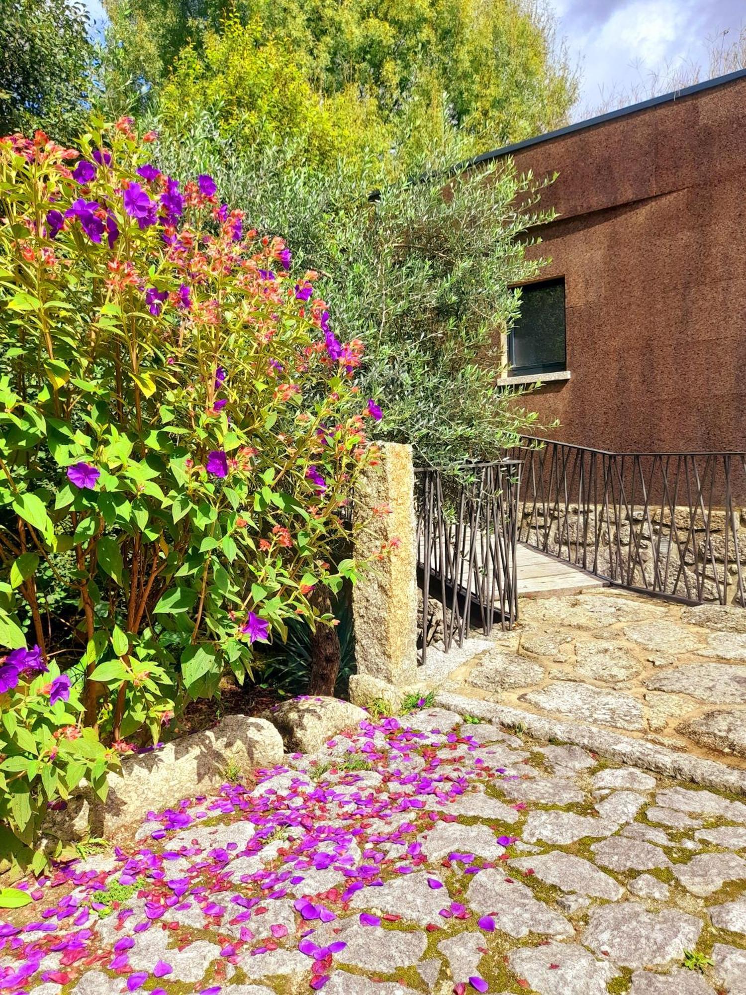 Moinhos Carvalhas Villa Arcos de Valdevez Luaran gambar